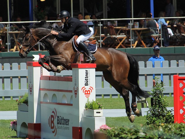 赖斯将携手 赖斯将携手