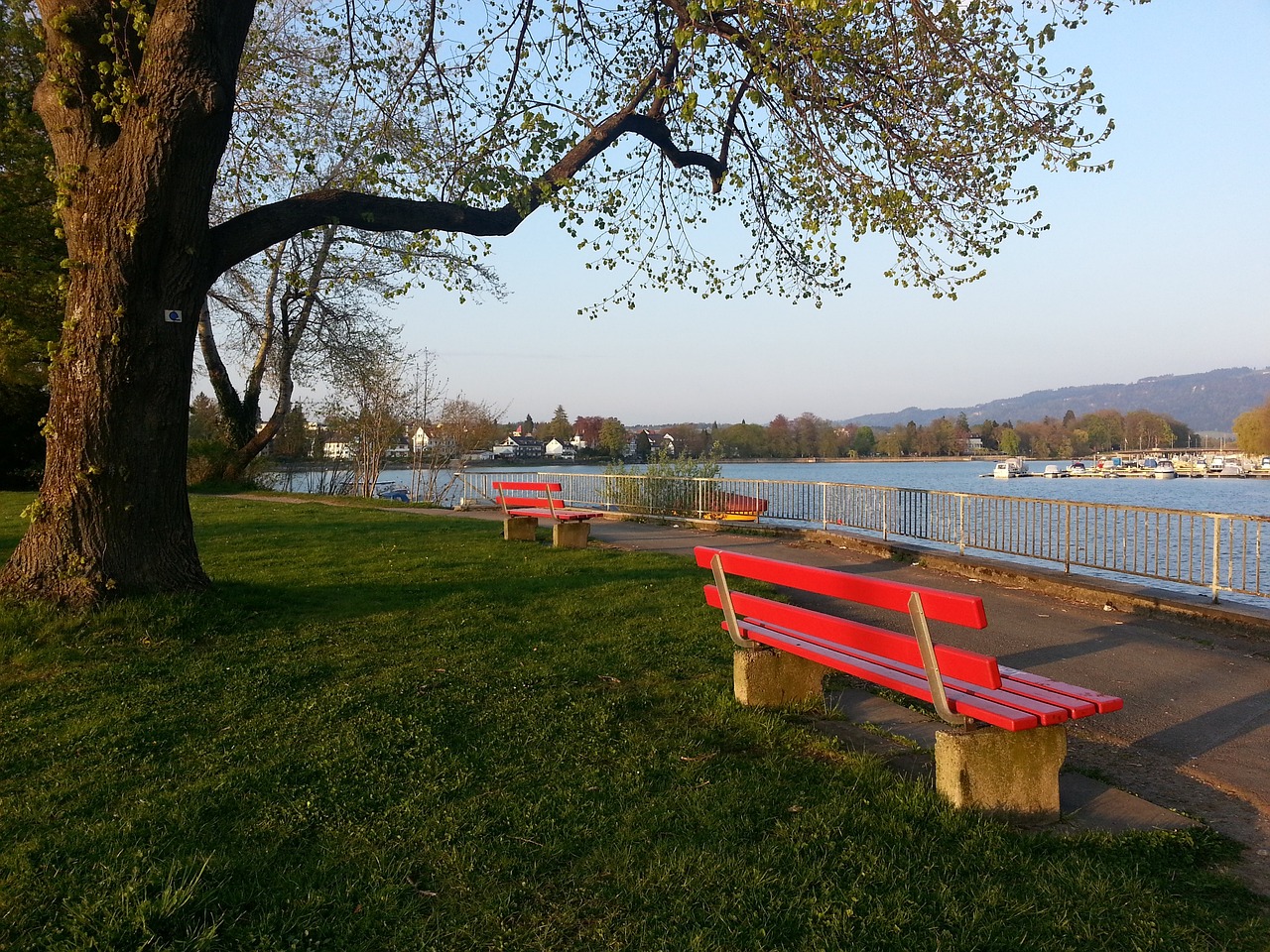 年美国女足 年美国女足