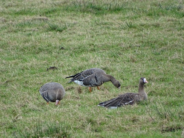 深度还体现 深度还体现