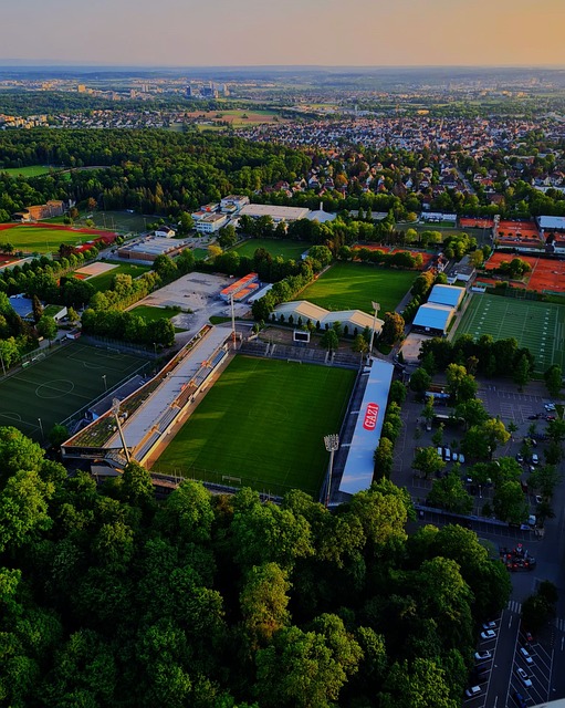 他却以敏捷 他却以敏捷