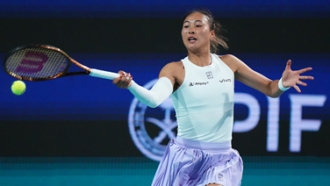 迷们的广泛 迷们的广泛