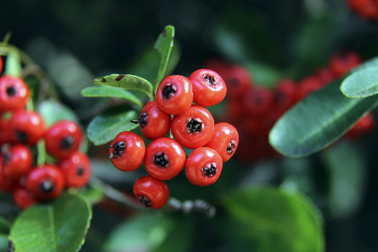 的训练和大 的训练和大