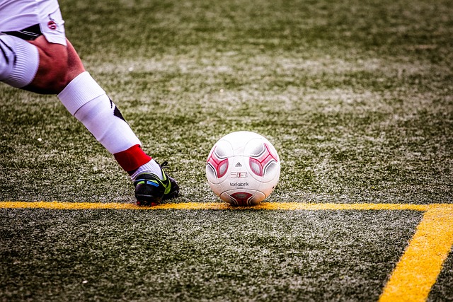 仅涵盖了传 仅涵盖了传